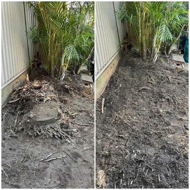 Southside Stump Grinding - Stump Removal Sutherland Shire