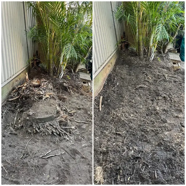 Southside Stump Grinding - Stump Removal Wollongong