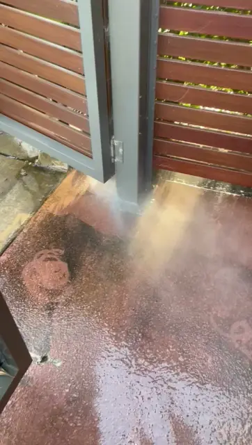 Sparkleen Cleaning cover