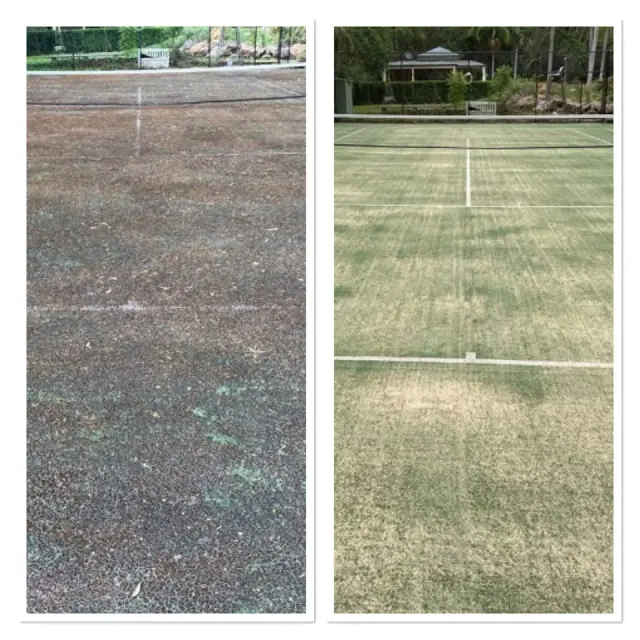 Sportzing Court Care South Brisbane cover