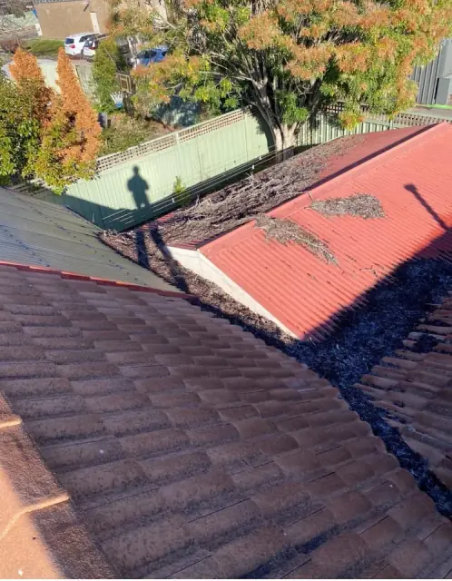 Spoutvac Plumbing and Vacuum Services cover