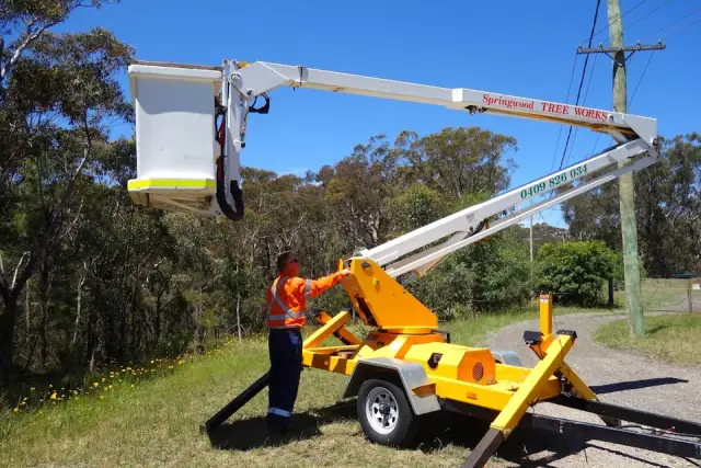 Springwood Tree Works - Tree Removal, Tree Pruning, Tree Lopper Services cover
