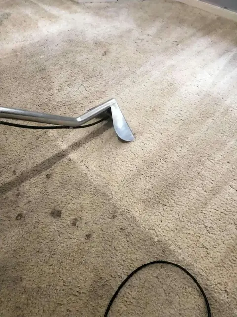 Spruce springclean carpet and upholstery cleaning services cover