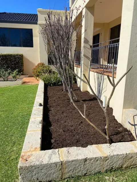 Sprucify Gardening