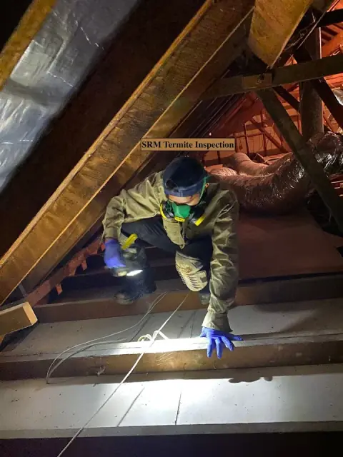 SRM Termite & Pest Control