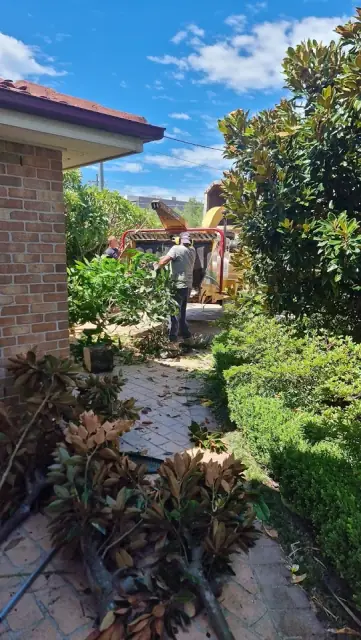 St George Tree Services cover
