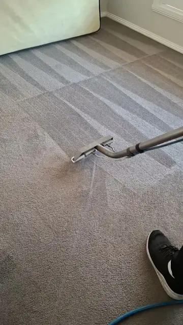 Stain Busters Carpet Cleaning and Pest Control Central West cover