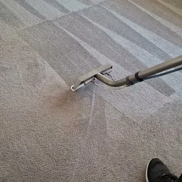 Stain Busters Carpet Cleaning and Pest Control Orange and the Central West cover
