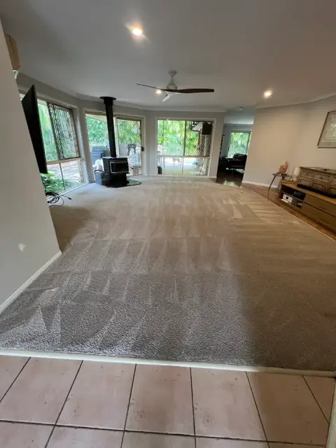 Stain Solutions Carpet Cleaning Gold Coast cover