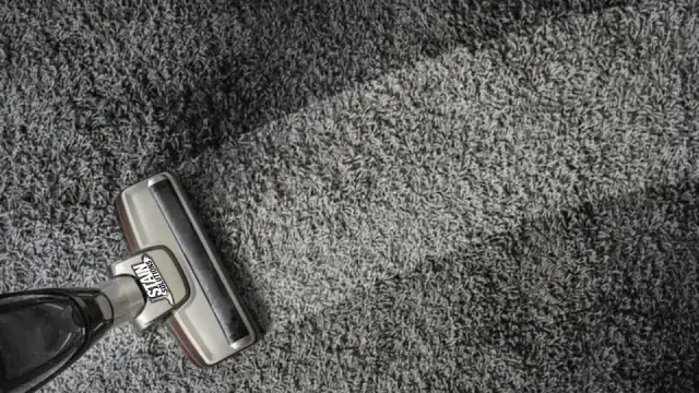 Stain Solutions Carpet Cleaning Gold Coast