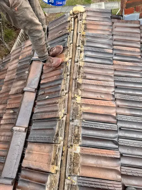 Starvac Gutter Cleaning & Roof Restoration cover