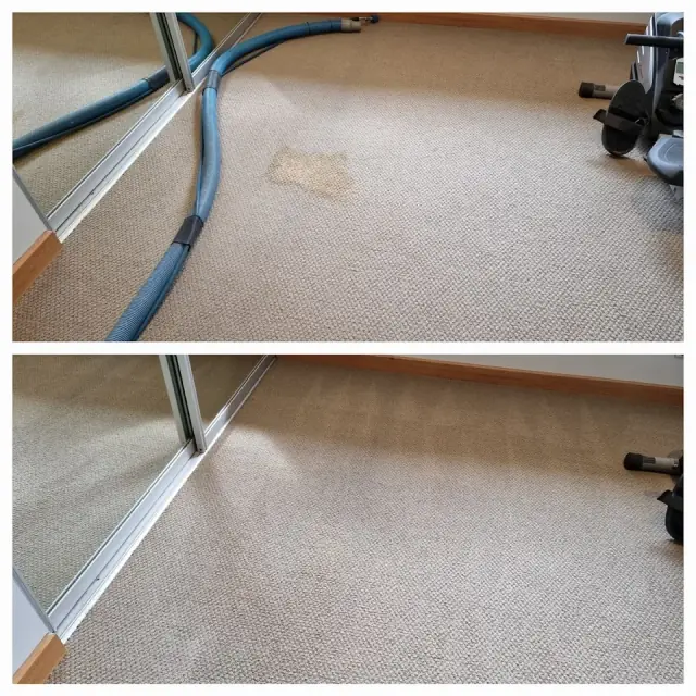 Statewide Carpet Cleaners cover