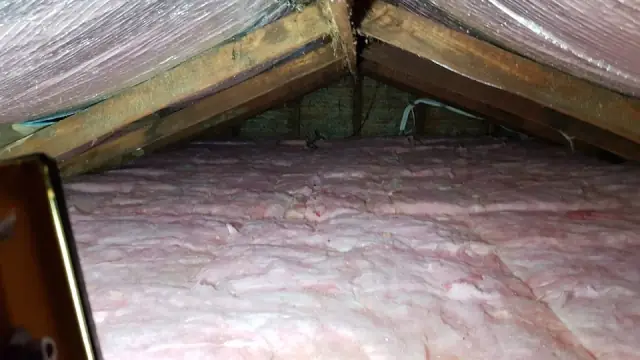 Statewide Insulation Services