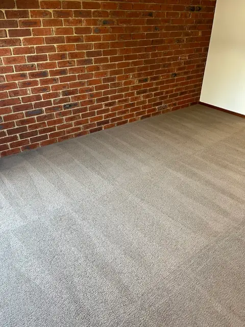 Steamdry Carpet Care cover