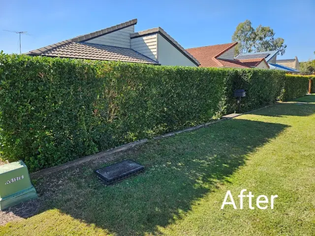 Steve's Lawn and Property Care Pty Ltd