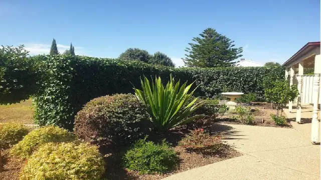Steven Trevaskis Gardening Service