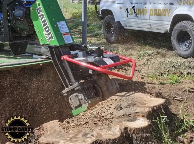 Stump Daddy