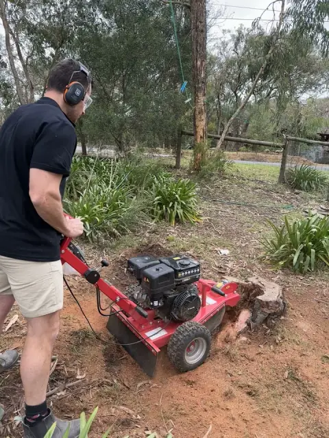 Stump Grinder Hire Australia cover