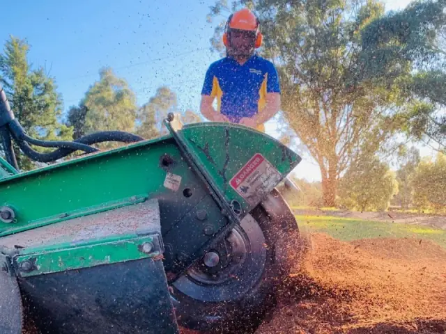 Stump Grinding