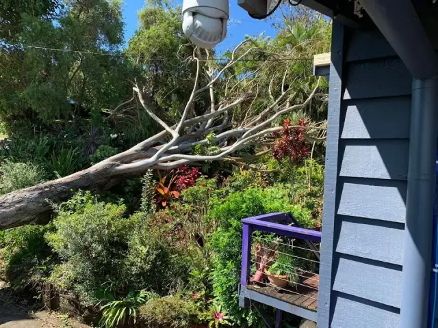 Summerland Tree Services cover