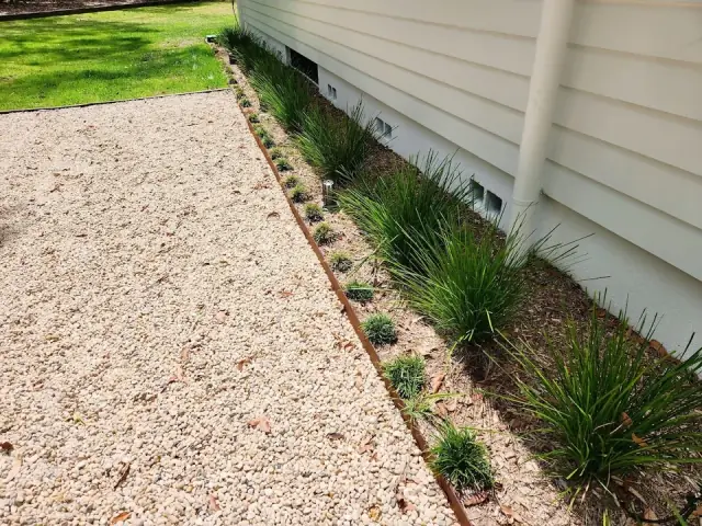 Suncoast Pest Solutions cover