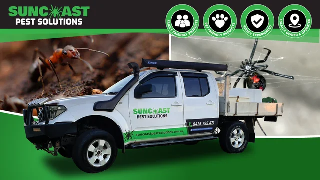 Suncoast Pest Solutions