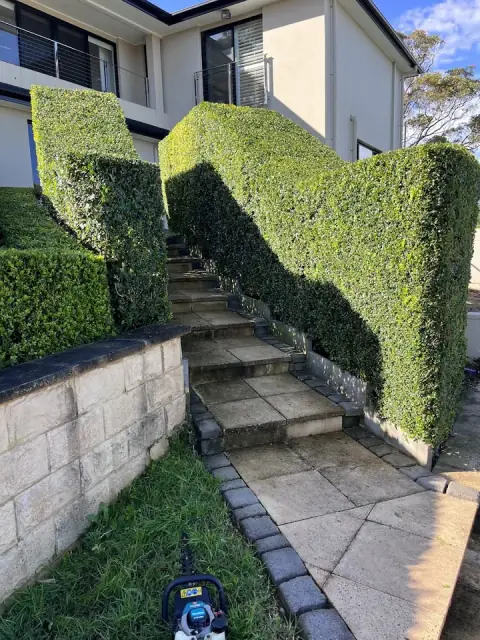 Sunny Garden and Lawn Maintenance