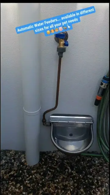 Sunny Plumbing cover
