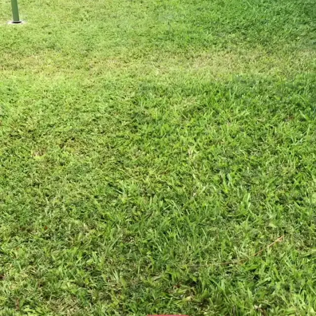 Sunrise Beach Mowing cover