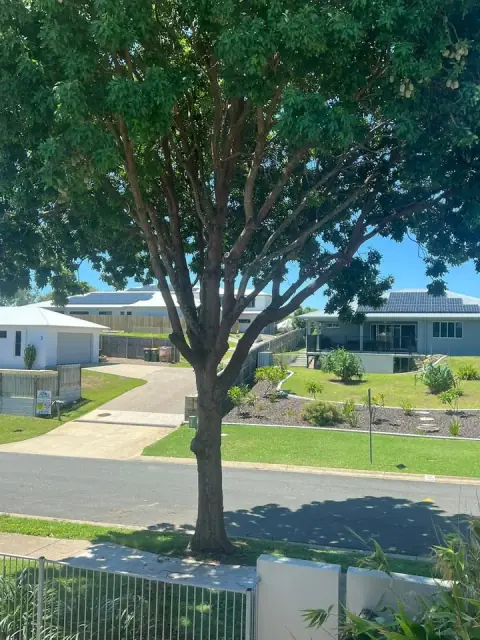 Sunshine Coast Tree Care cover