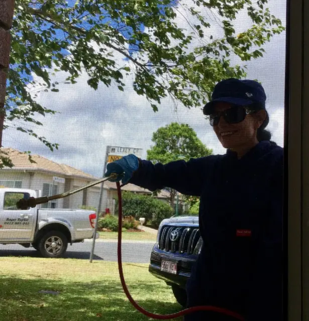Swarm Pest Control Brisbane cover