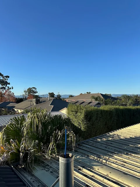 Swept Chimney Sweeps cover