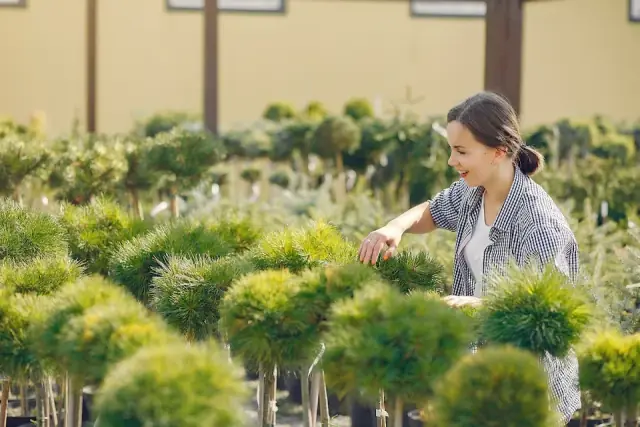 Sydney Gardening Group