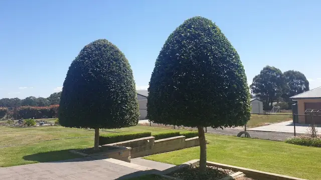 Sydney Gardening & Maintenance Pty Ltd cover