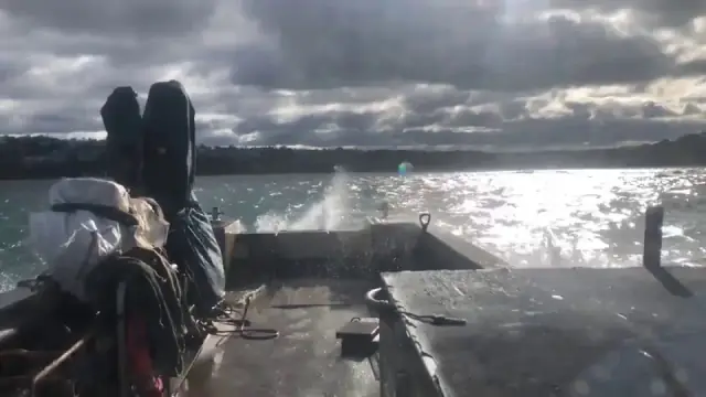 Sydney Harbour Marine cover