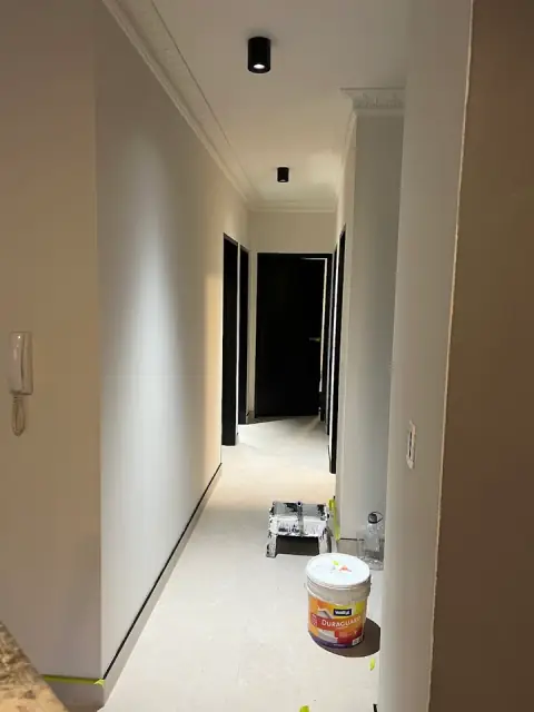 Sydney Paintmasters cover