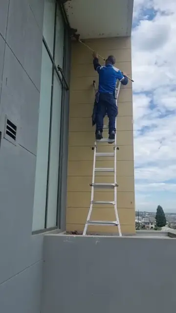 Sydney Pesties | Pest Control cover