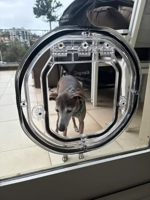 Sydney Wide Pet Doors cover
