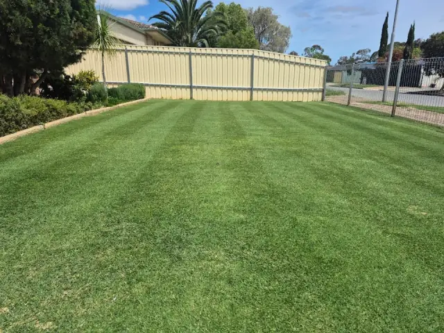 Tanner's Turf cover