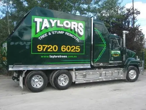 Taylors Trees