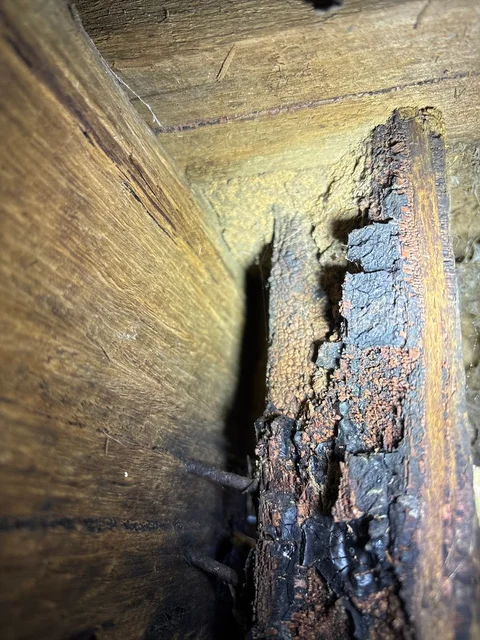 Termite Solutions Melbourne cover