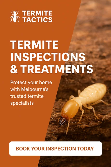 Termite Tactics Pty Ltd