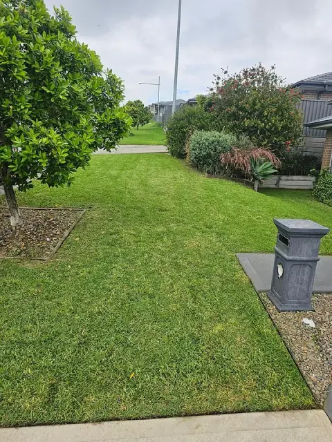 That Aussie Lawn Guy cover