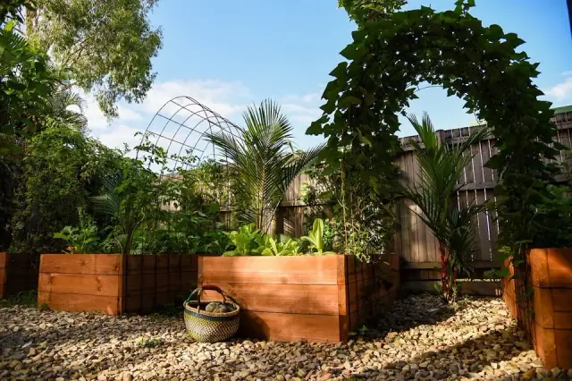 The Backyard Grocery Guys - Expert Landscapers in Cairns cover
