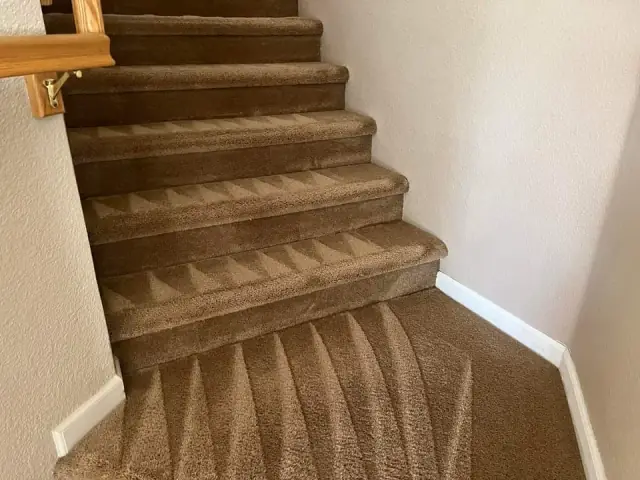 The Carpet Cleaning Masters cover
