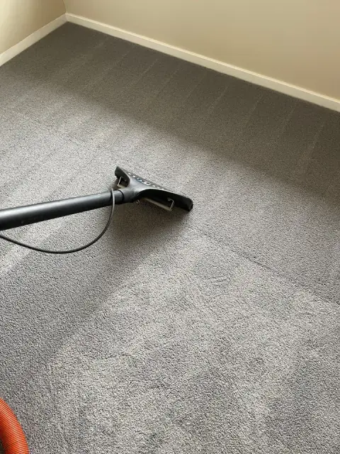 The Carpet Guy cover