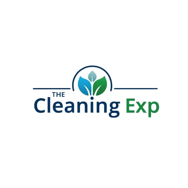 The Cleaning Exp cover