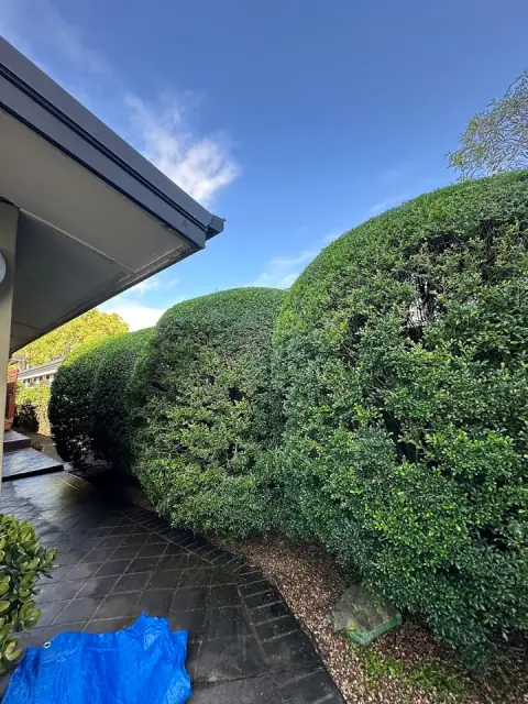 The Gardener & Co. cover