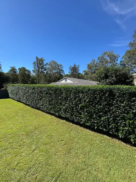 The Hills Garden Services cover