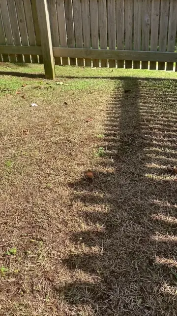 The Lawnfeed Company cover